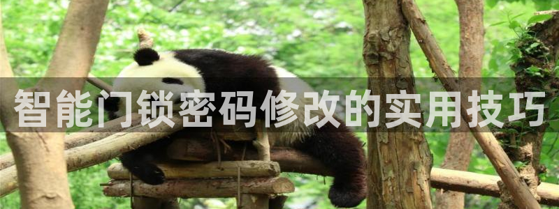jdb游戏论坛：智能门锁密码修改的实用技巧
