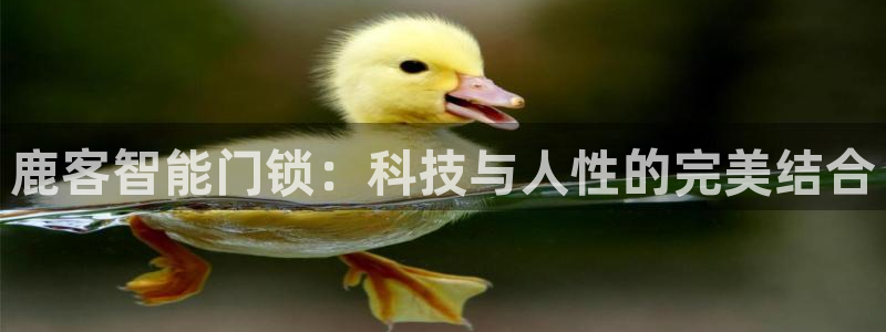 jdb电子夺宝试玩：鹿客智能门锁：科技与人性的完美结合