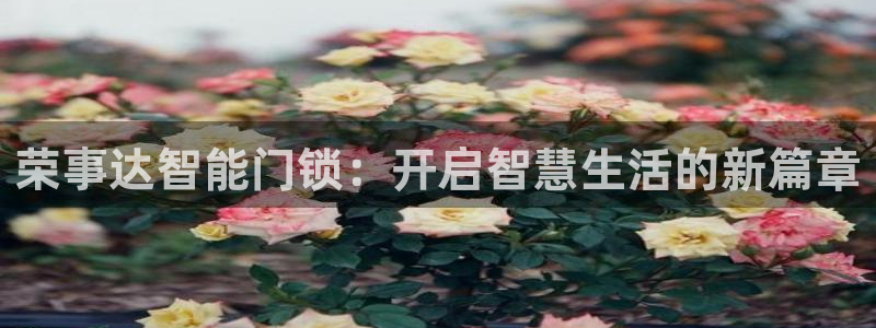 jdb电子官方app：荣事达智能门锁：开启智慧生活的新篇章