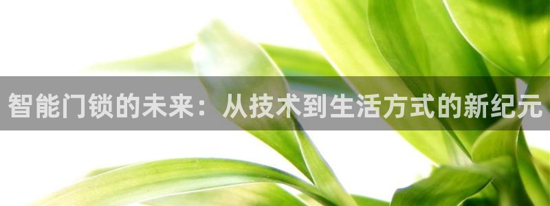 JDB电子维护：智能门锁的未来：从技术到生活方式的新纪元