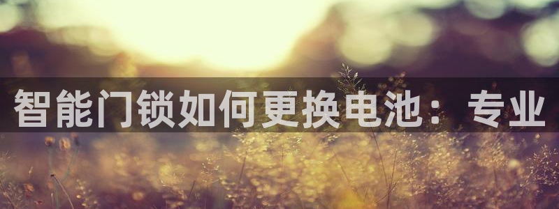 jdb电子游戏变脸2超级大奖视频：智能门锁如何更换电池：专业