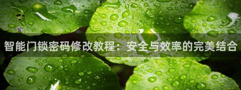 jdb电子官网：智能门锁密码修改教程：安全与效率的完美结合