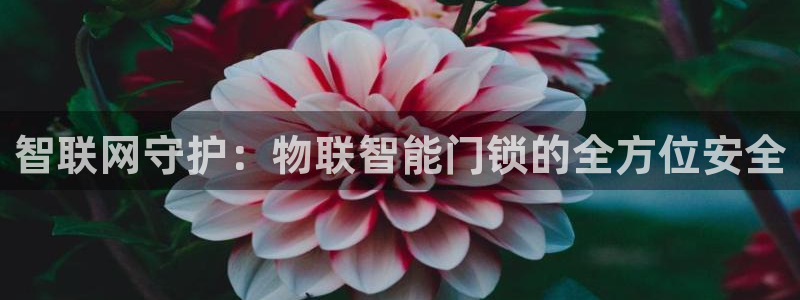 jdb电子金刚倍率：智联网守护：物联智能门锁的全方位安全