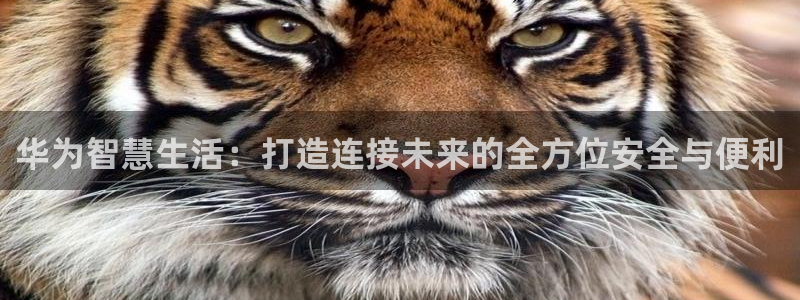 jdb游戏怎么才能赢钱：华为智慧生活：打造连接未来的全方位安