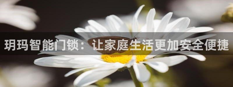 jdbc下载：玥玛智能门锁：让家庭生活更加安全便捷