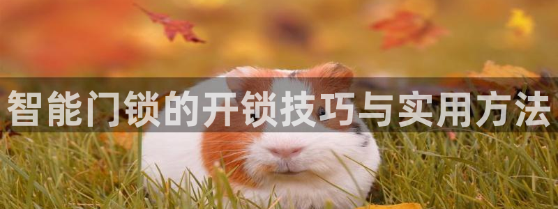 jdb夺宝游戏如何中巨奖：智能门锁的开锁技巧与实用方法