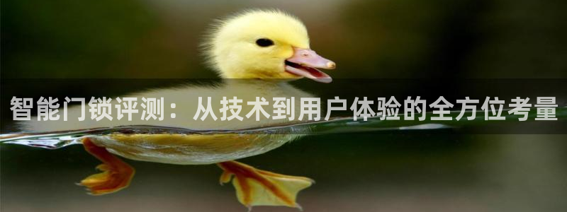 jdbc官网：智能门锁评测：从技术到用户体验的全方位考量